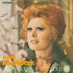 NEŞE KARABÖCEK - WHAT IS MY FAULT? (ERGUN PLAK RE - EDIT)