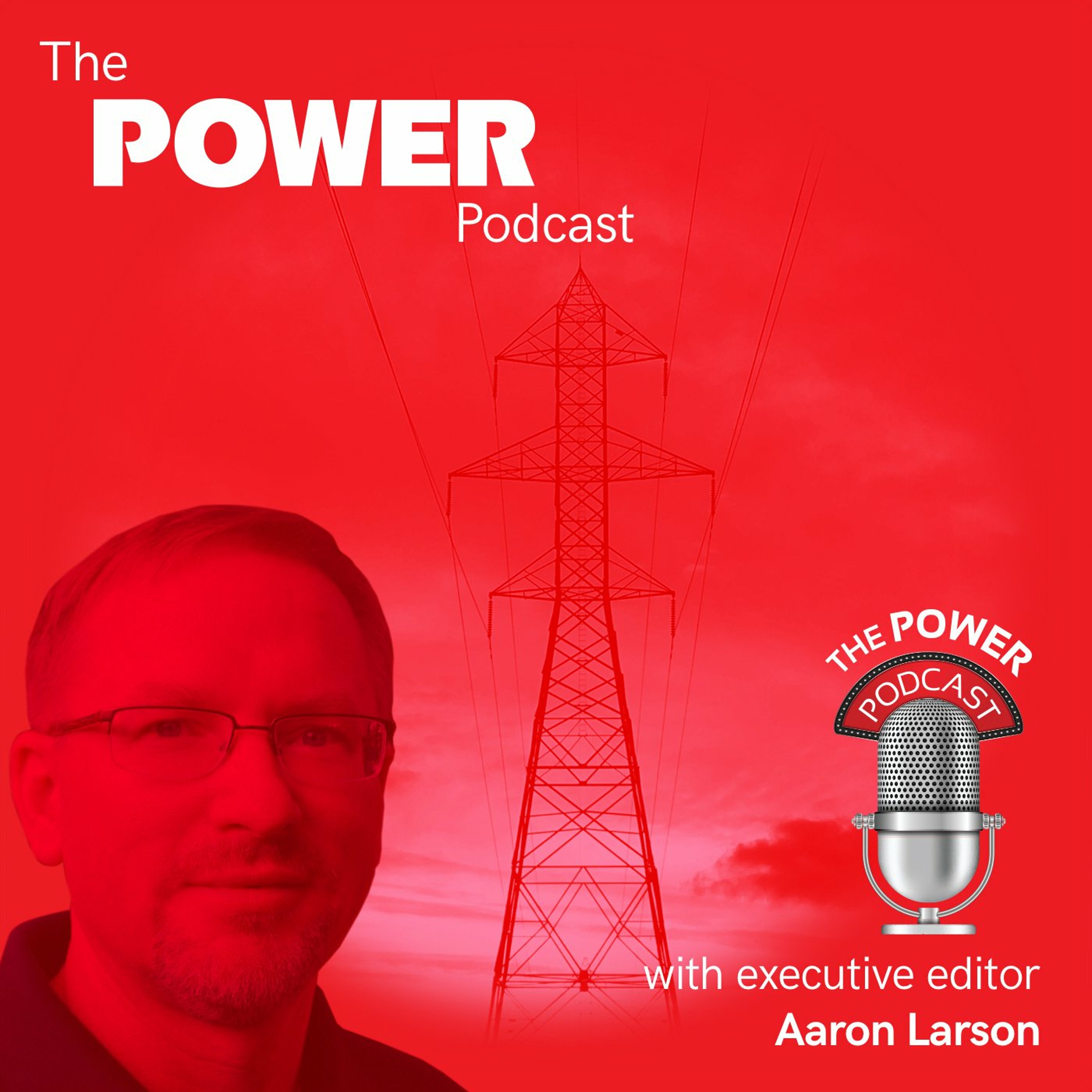 cover of episode 48. How Utilities Can Manage Supplier Risk - BCG