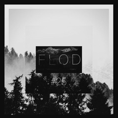 FLOD [#25] GuestMix By Paranoid SouL [Dub Techno]