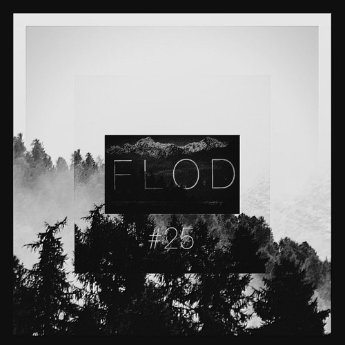 FLOD [#25] GuestMix By Paranoid SouL [Dub Techno]