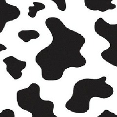 Cow Person (4:20 version)
