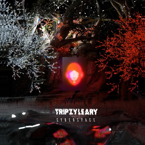 Cyberspace LP