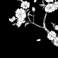 The Game- Curtsinger