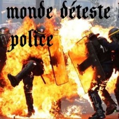 Tout Le Monde Déteste La Police
