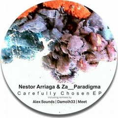 Nestor Arriaga & Za  Paradigma - Carefully Chosen (Alex Sounds Remix)[Deep Phase]