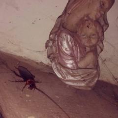 #18 Host Faga // Æthereal Arthropod X Beat Craft