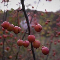 Atempause - twitch stream 11/2019