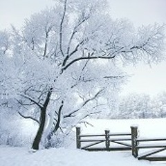 Casso cold days produce by unknown instrumentals
