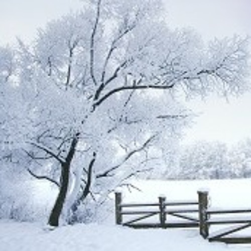 Casso cold days produce by unknown instrumentals