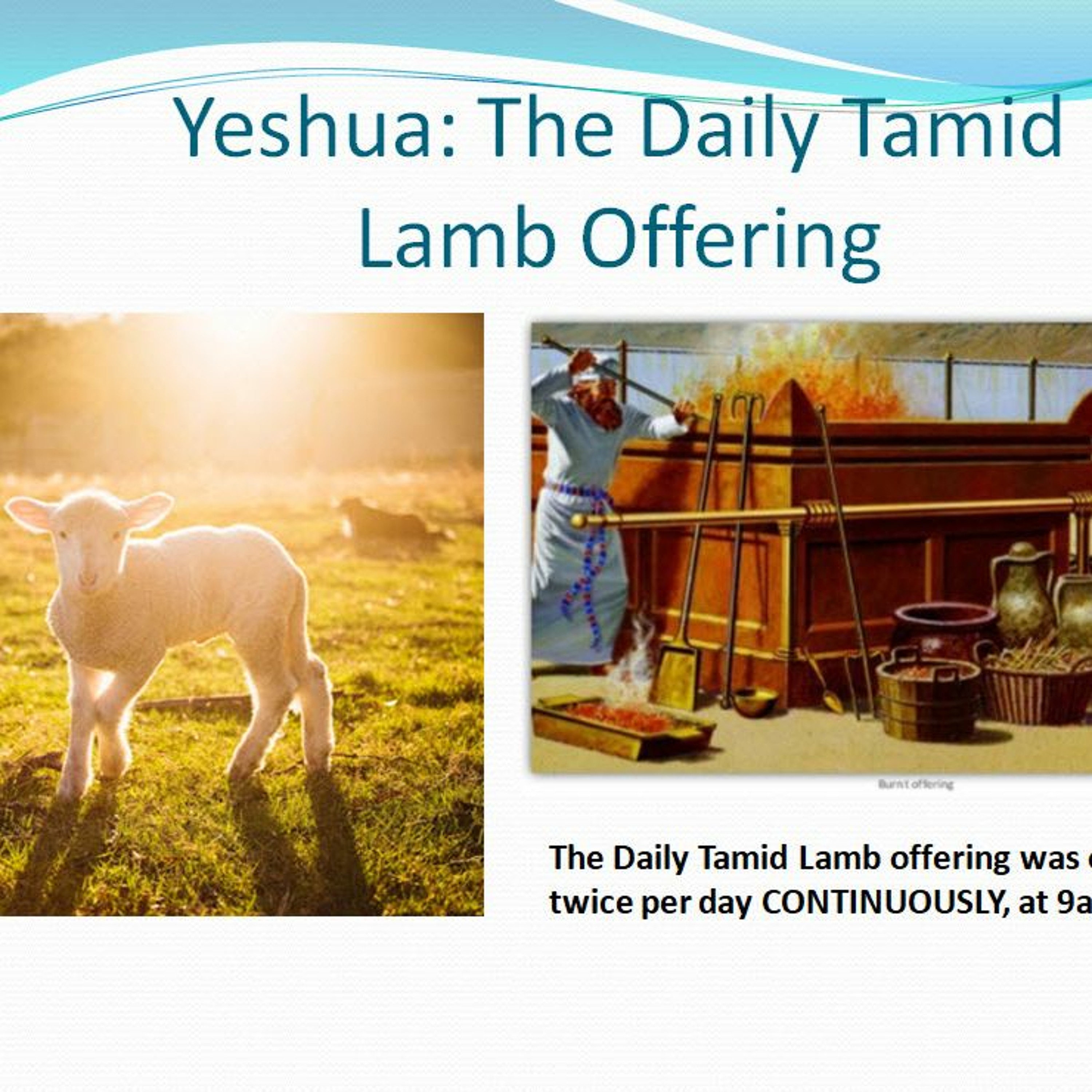 Yeshua: Daily Tamid Lamb Offering Pt 2 ~ Half Shekel Offerings: A Communal Sacrifice episode artwork
