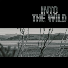 INTO THE WILD prod saddxc