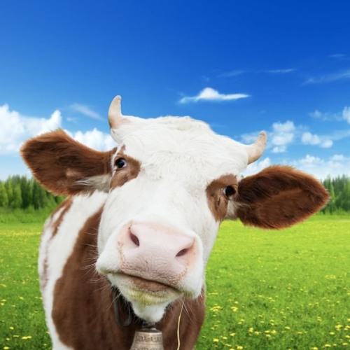 꺼져 ( W : CHERRY BOY 17 )