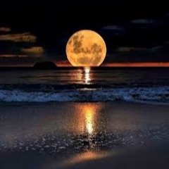 Moon Tide 3 `~...