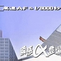 WiggleNiggle // Skyline