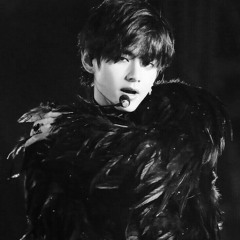 black swan