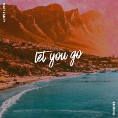 Matt Zaney - Let You Go