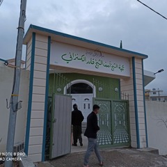 شهرام منصوري ياپير