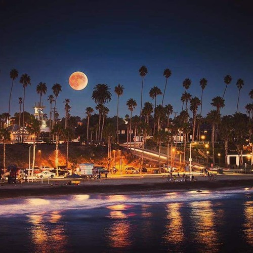 Oside's Fynest - Oceanside (Where The Palm Trees Grow - 2001)