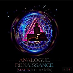 Analogue Renaissance - Dj Malik