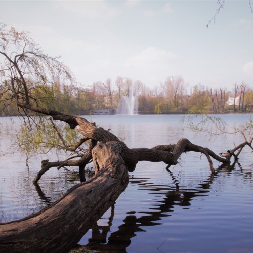 White Lake City b2b with Minkaa- twitch stream 1/2020