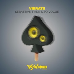 Vibrate (Radio Edit)