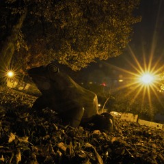 Winterschlaflosigkeit - twitch stream 12/2019 pt2.