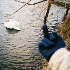 Сколько стоит любовь