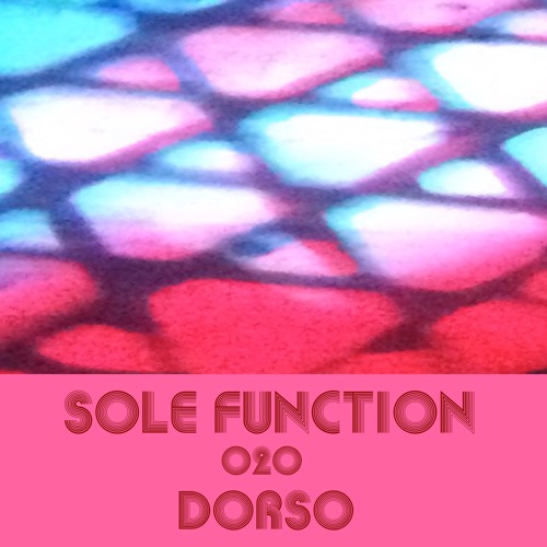 Sole Function 020