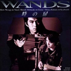 WANDS 星のない空の下で