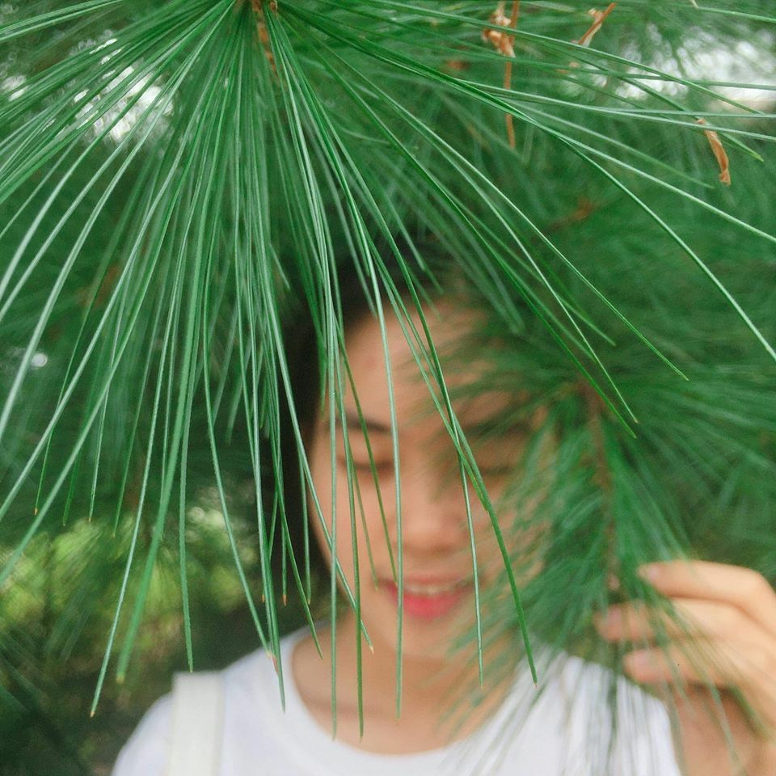 Lê Tự Nhật Kông