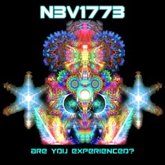 N3V1773 - Are you experienced?