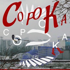 сорока