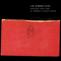 Like Spinning Plates -  Featuring Cameron Bisher
