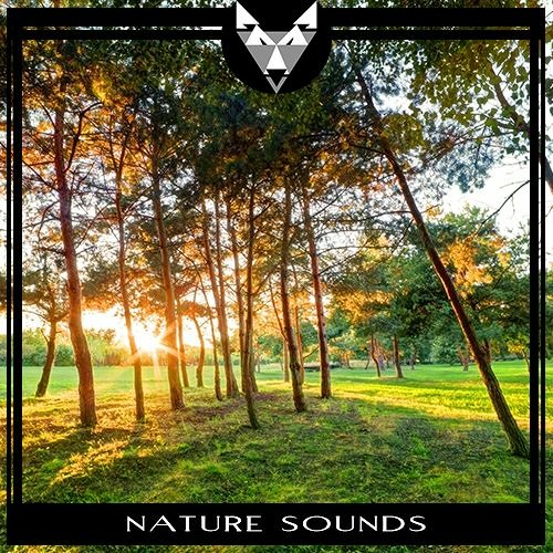 mærkning cerebrum Lave Stream Nature Sounds and Ambiences Preview by West Wolf Audio | Listen  online for free on SoundCloud