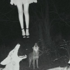 Prince David - Longe Daqui