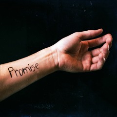 Promise (ft. Lil Lotus)