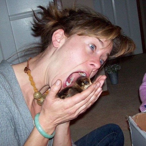 ｄｏｎａｈｕｅ ｐａｒｄｏｎｅｅ