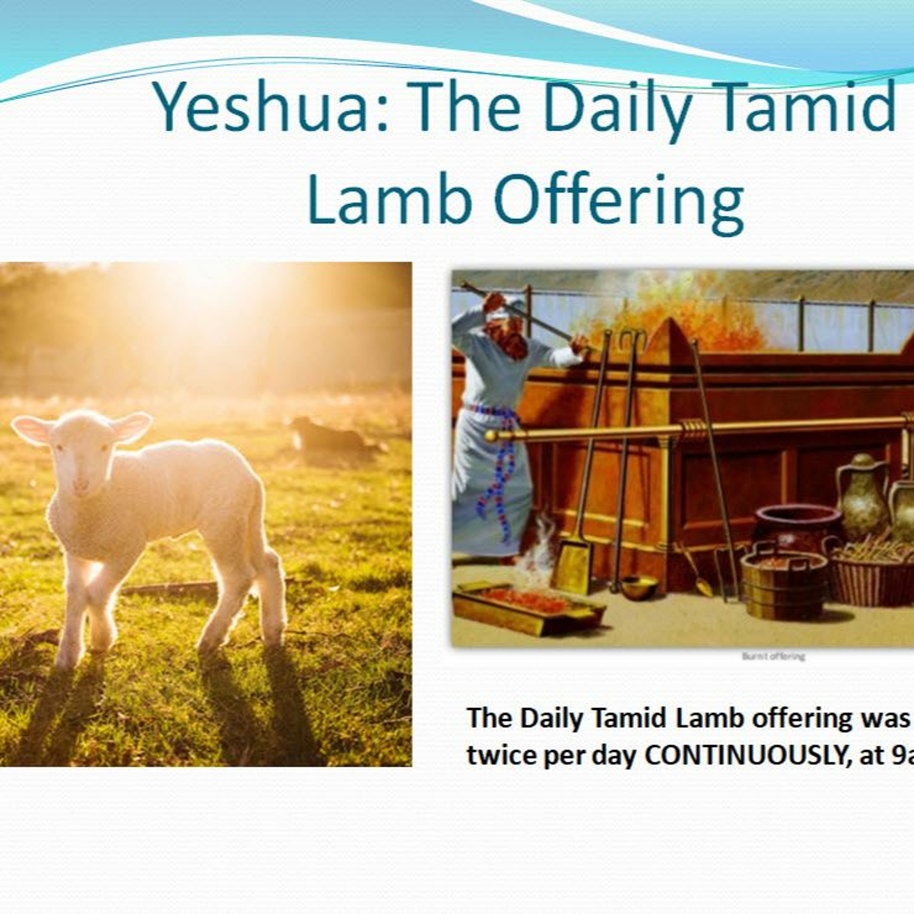 Yeshua: Daily Tamid Lamb Offering Pt 5 ~ Morning Temple Service and the Tamid Lamb Sacrifice episode artwork