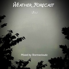 Weather Forecast Vol. 4