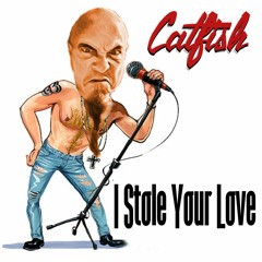 I Stole Your Love
