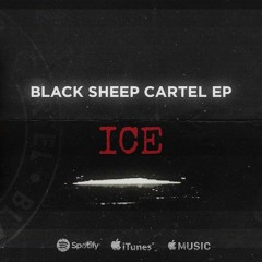 Black Sheep Cartel - ICE