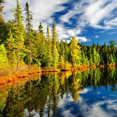 The Killers - Mr. Brightside (ExQuisite FliP)