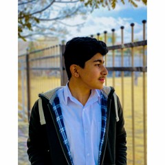 Bewafa tune mujhe pagal kar diya | Shah Farooq