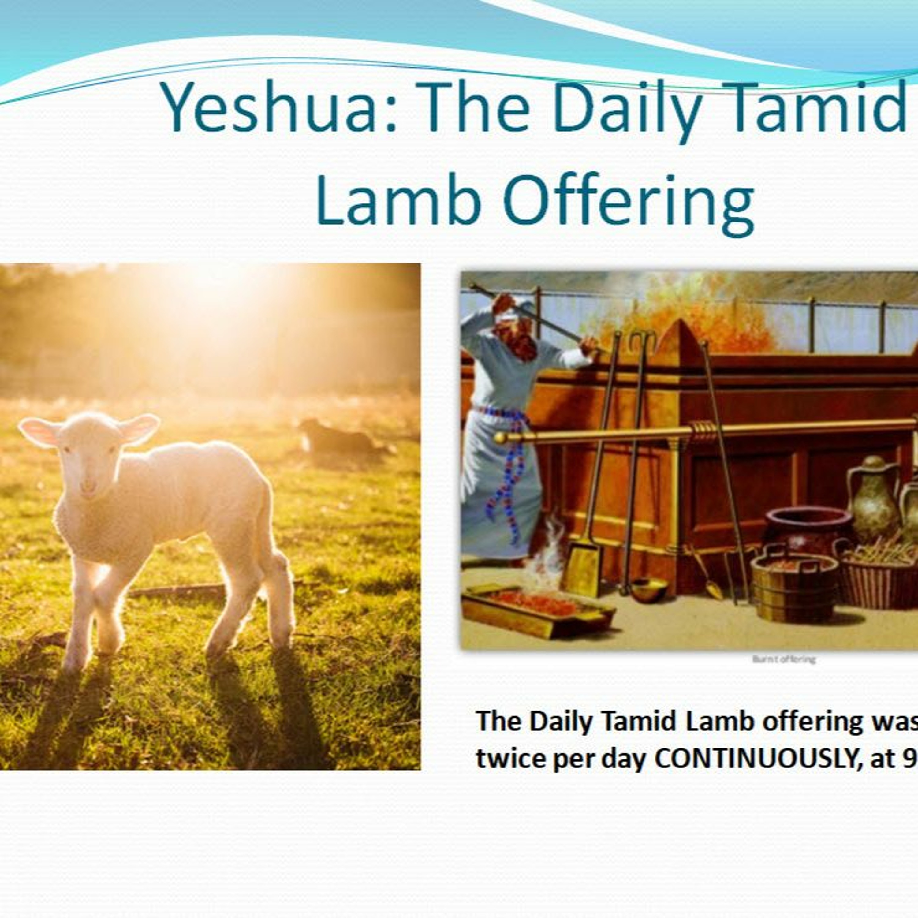 Yeshua: Daily Tamid Lamb Offering  Pt 7 ~ An Angel Appeared at the Incense Altar episode artwork