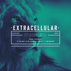 Extracellular / Episode 024 / 23-Ene-2020