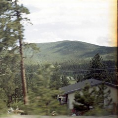 bold n brash (dakota carley)