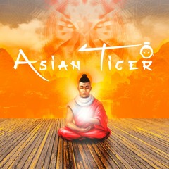 XEM - Asian Tiger (Original Mix)