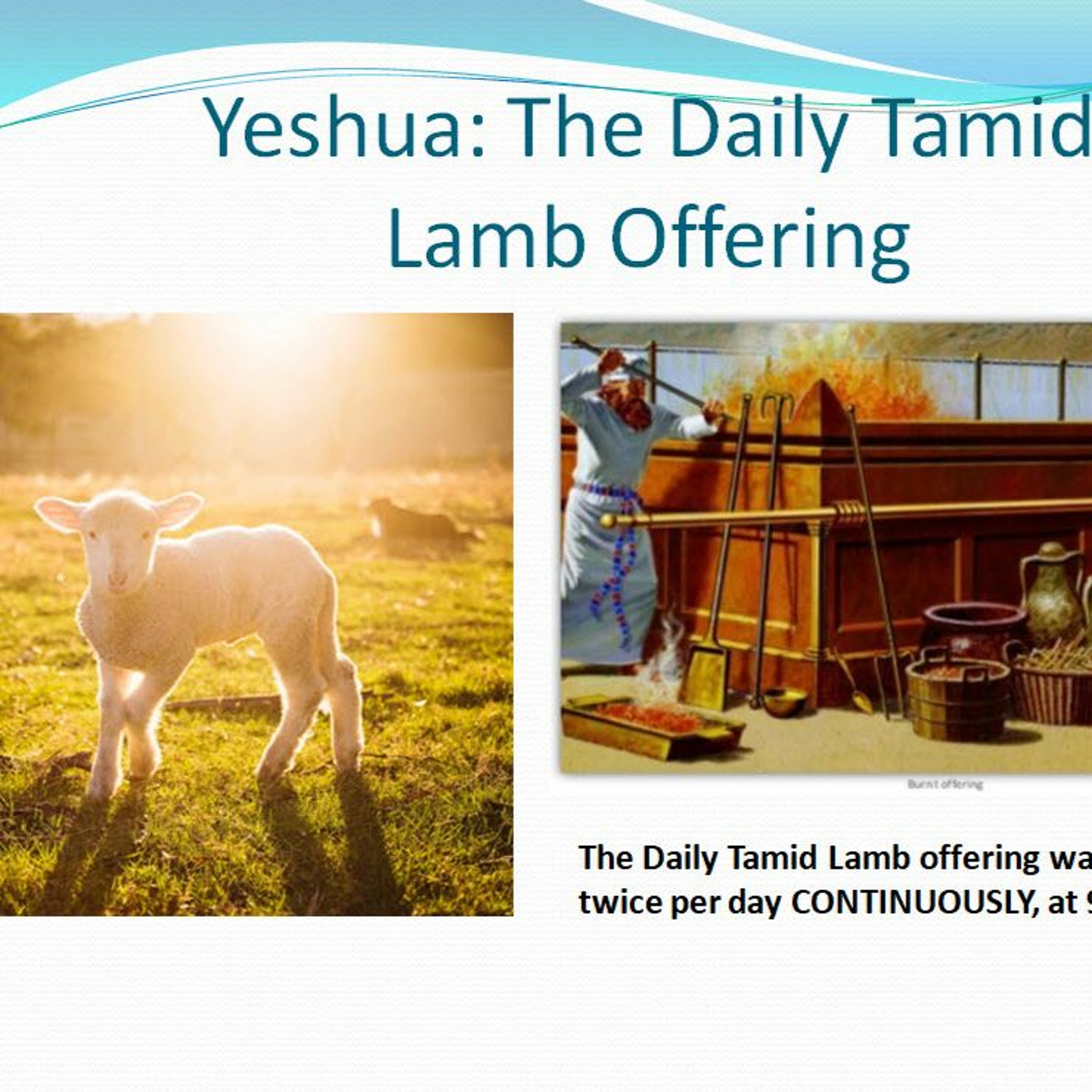 Yeshua:  Daily Tamid Lamb Offering Pt 8 ~ The Afternoon Lamb Sacrifice episode artwork