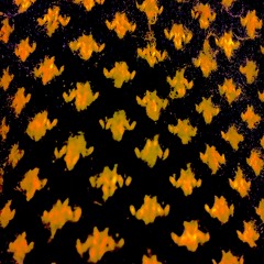 Not Here to Look Pretty