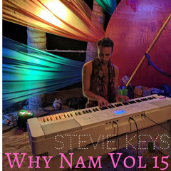 Why Nam Vol 15